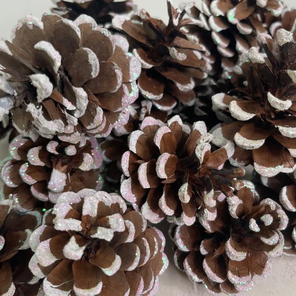 23 Real Pinecones White Glitter Painted Tips for Crafts or Decorating Avg 3